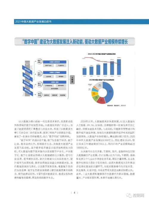 干货 赛迪 2021中国大数据产业发展白皮书